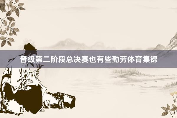 晋级第二阶段总决赛也有些勤劳体育集锦