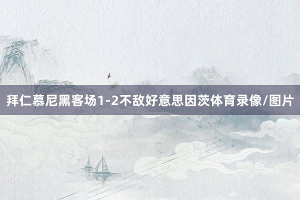 拜仁慕尼黑客场1-2不敌好意思因茨体育录像/图片